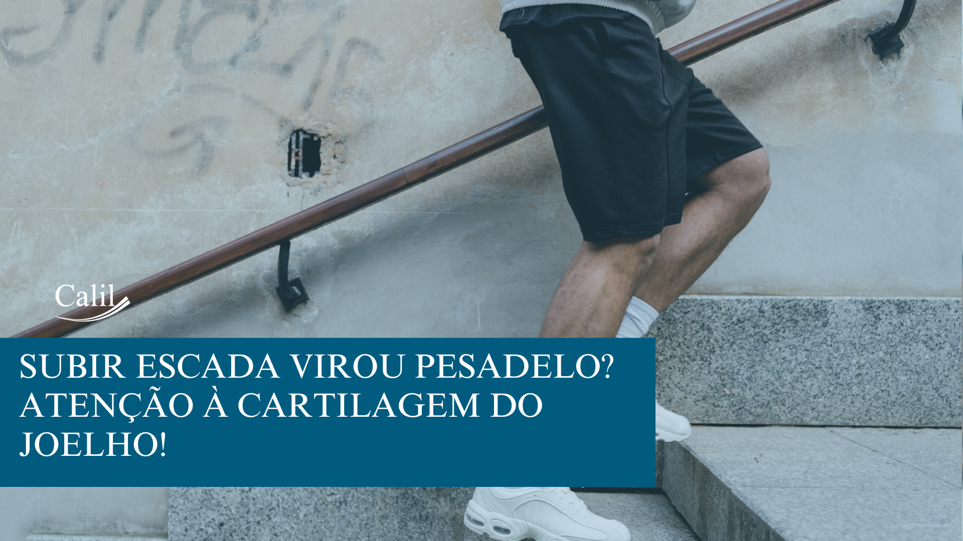 Cartilagem do joelho