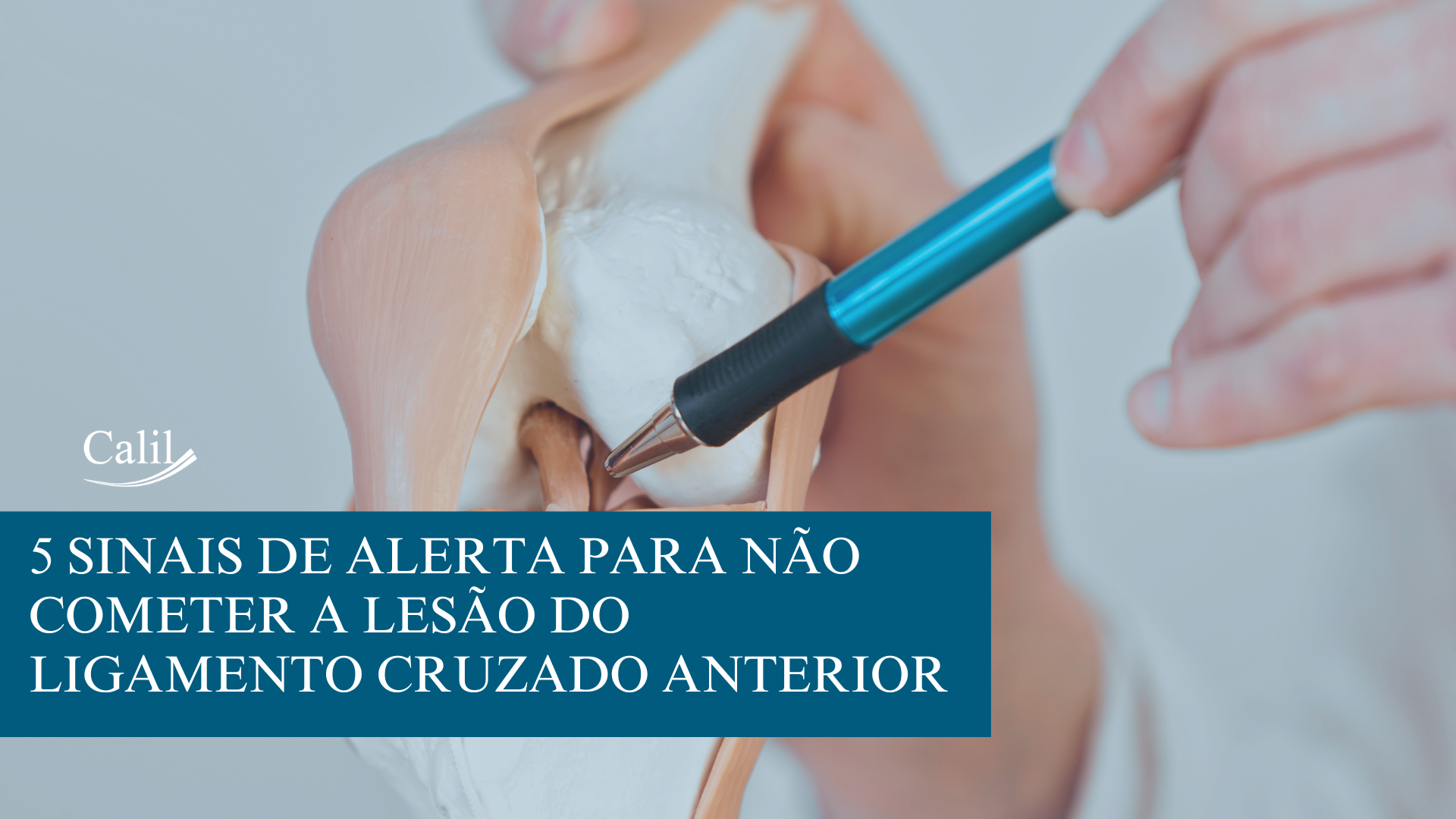 Ligamento Cruzado Anterior